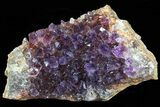 Dark Purple Amethyst Cluster - Top Quality Color #76857-1